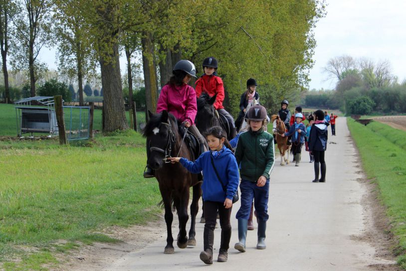 Enfants chevauchant et menant des poneys le long d'un sentier de campagne lors d'une activité équestre en plein air à Sterrebeek Equestrian Farm